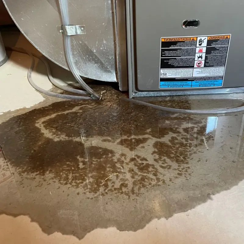 Pipe Burst and Leak Restoration in Pikesville, MD